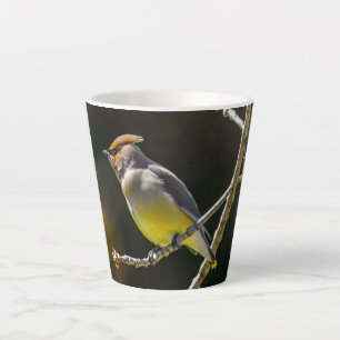Cederpestvogel Zangvogel Originele Wilde Vogel Fot Latte Mok