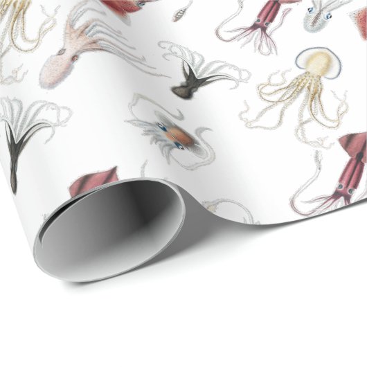 Cefalogediseerd Cadeaupapier (Rol Hoek)