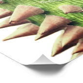 Ceiba speciosa, de flosdraad perfect poster (Hoek)