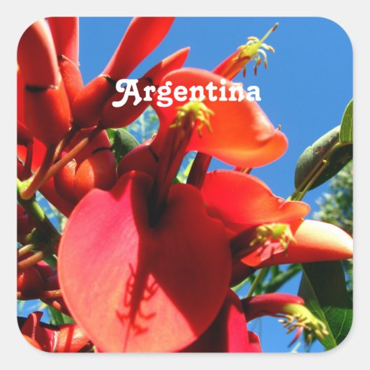 Ceibo Vierkante Sticker (Voorkant)