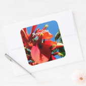 Ceibo Vierkante Sticker (Envelop)