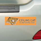 Ceiling Cat kijkt naar je. Bumpersticker (Op auto)