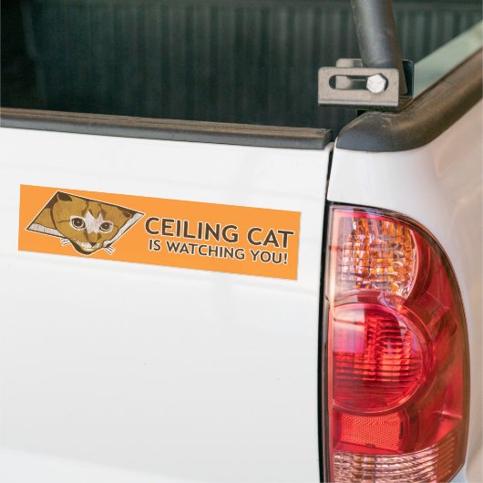 Ceiling Cat kijkt naar je. Bumpersticker (Op Truck)