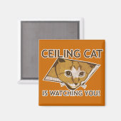 Ceiling Cat kijkt naar je. Magneet (Voorkant / Achterkant)