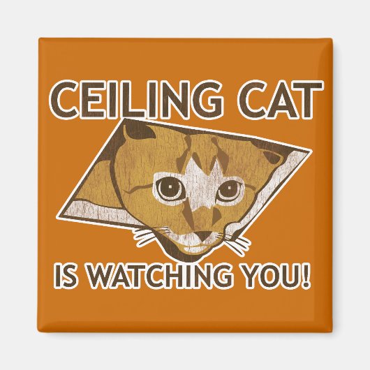 Ceiling Cat kijkt naar je. Magneet (Voorkant)