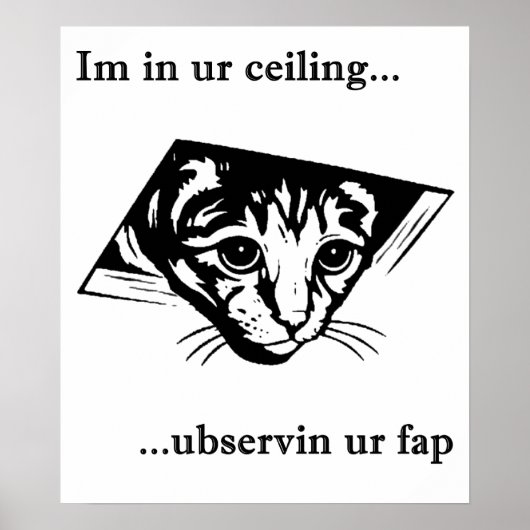 Ceiling Cat ubservin u... Poster (Voorkant)