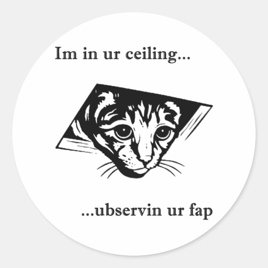 Ceiling Cat ubservin u... Ronde Sticker (Voorkant)