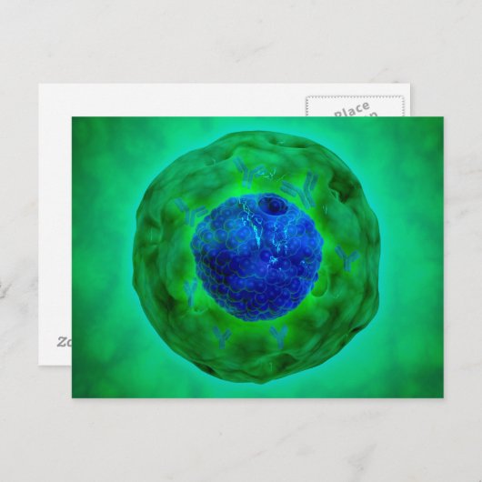 Cel-nucleus met chromosoom 1 briefkaart (Voorkant / Achterkant)