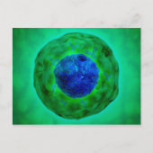 Cel-nucleus met chromosoom 1 briefkaart (Voorkant)