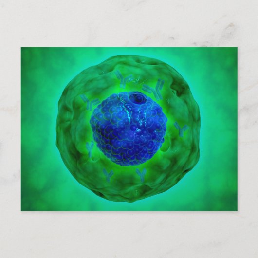 Cel-nucleus met chromosoom 1 briefkaart (Voorkant)