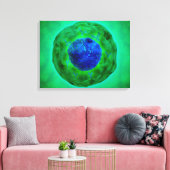 Cel-nucleus met chromosoom 1 canvas afdruk (Insitu (Woonkamer))