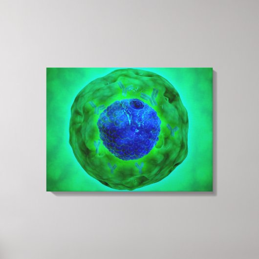 Cel-nucleus met chromosoom 1 canvas afdruk (Voorkant)