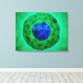 Cel-nucleus met chromosoom 1 canvas afdruk (Insitu (Houten vloer))