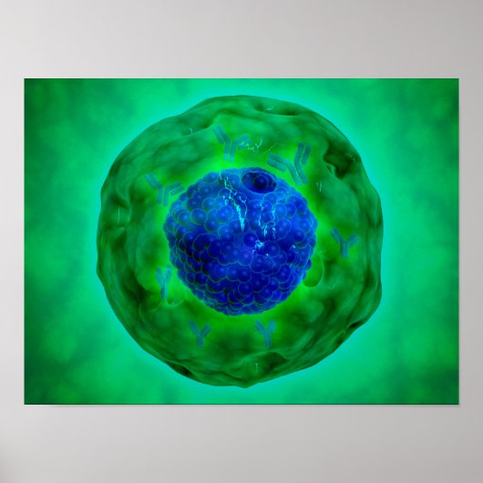 Cel-nucleus met chromosoom 1 poster (Voorkant)