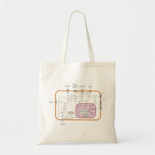 Cel-signaaltransductieschema Tote Bag (Voorkant)