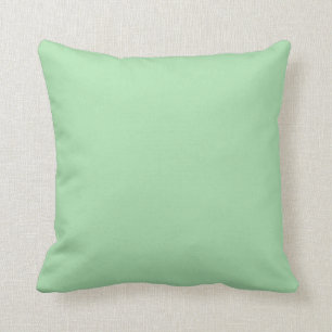 Celadon Colour Background Light Green Pastel Jade Kussen