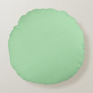Celadon Colour Background Light Green Pastel Jade Rond Kussen