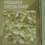 Celadon Green Hydrangea Blossom Elegant Sjaal<br><div class="desc">Deze elegante chiffon scarf is bedekt met kleine,  delicate bleke celadon groene hydrangea bloesems. Het is een unieke verse pastelkleur die er goed uitziet met een andere kleur en die elke mode aanvult. Dit is een neutrale,  lichte en luchtvochtige florale en ultra-vrouwelijk. Originele botanische fotografie van JLW_FOTOGRAPHY.</div>