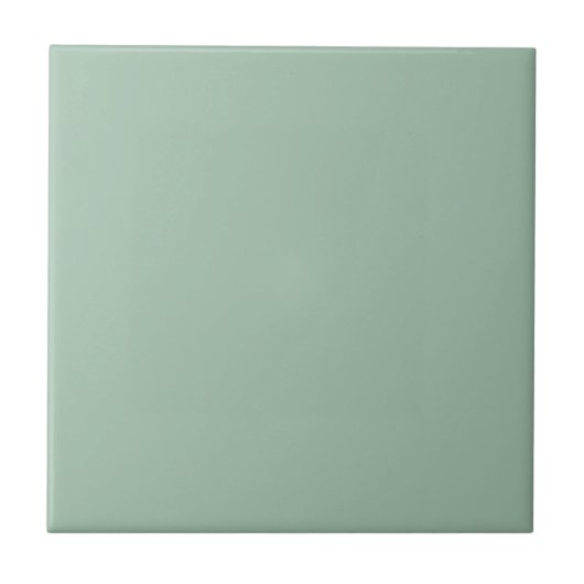 Celadon Green Plain Solid Color Keramische Tegel Tegeltje (Voorkant)