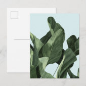 Celadon Palms Briefkaart (Voorkant / Achterkant)