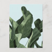 Celadon Palms Briefkaart (Voorkant)