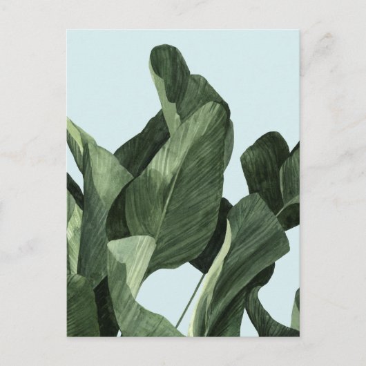 Celadon Palms Briefkaart (Voorkant)