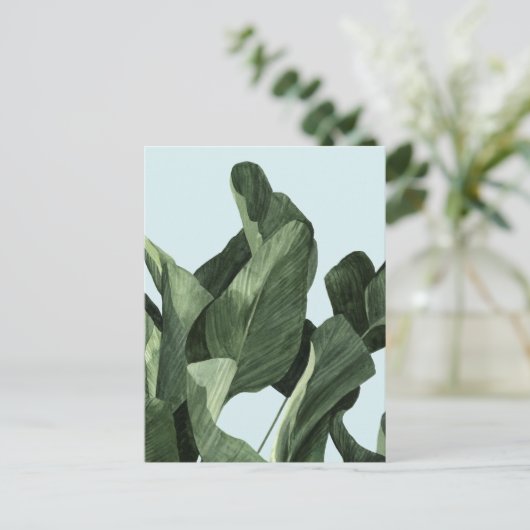 Celadon Palms Briefkaart (Staand voorkant)