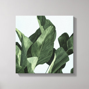 Celadon Palms Canvas Afdruk