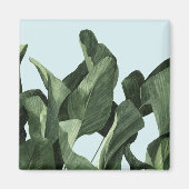 Celadon Palms Magneet (Voorkant)