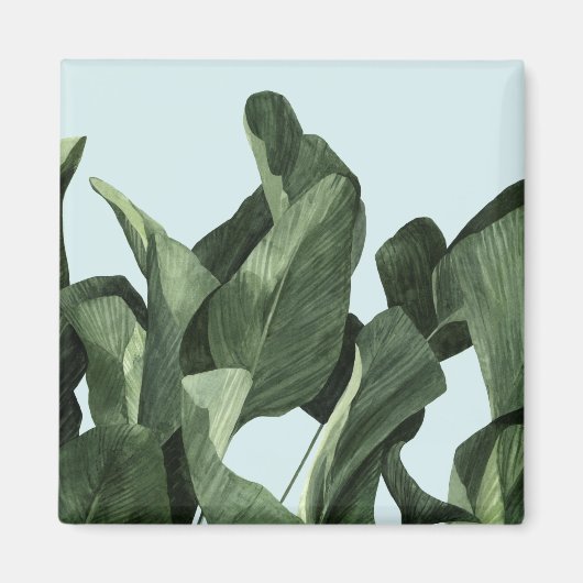 Celadon Palms Magneet (Voorkant)