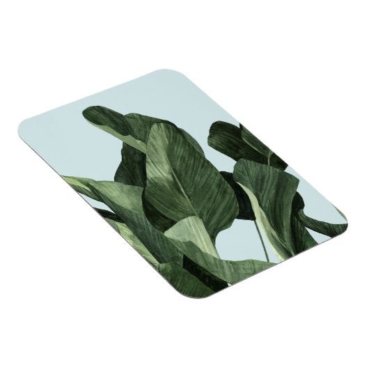 Celadon Palms Magneet (Rechterzijde)