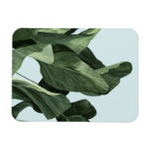 Celadon Palms Magneet (Horizontaal)