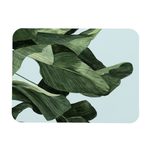 Celadon Palms Magneet (Horizontaal)