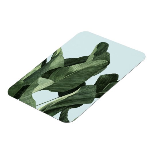 Celadon Palms Magneet (Linkerzijde)