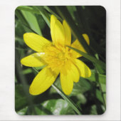 celandine muismat (Voorkant)