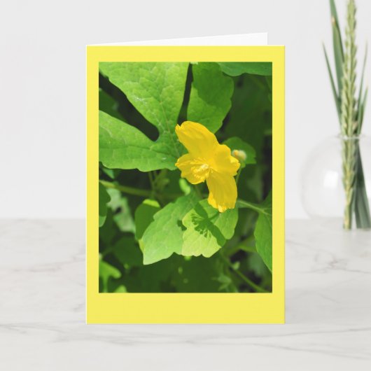 Celandine Poppy Blank Note Kaart (Voorkant)