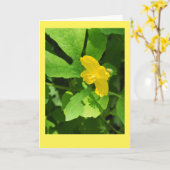 Celandine Poppy Blank Note Kaart (Gele Bloem)