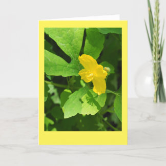 Celandine Poppy Blank Note Kaart