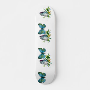 Celastrina argiolus (man) skateboard