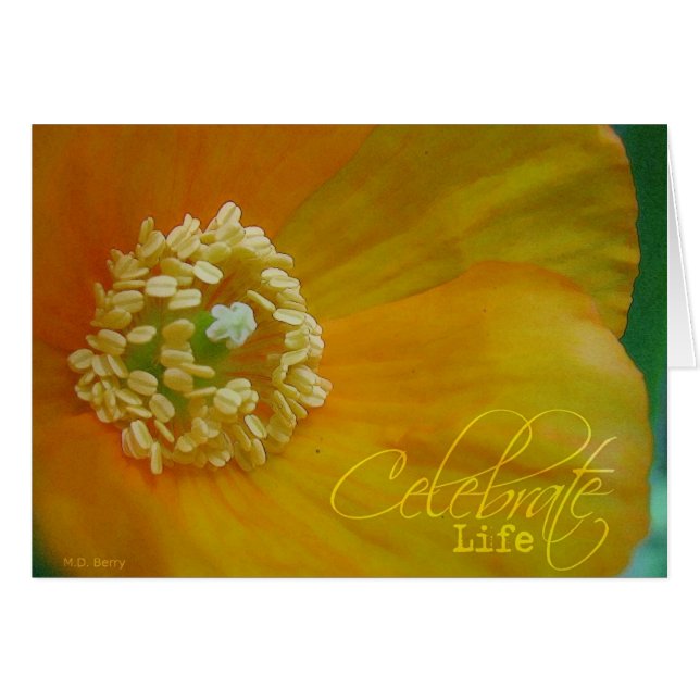 Celebrate Life (Voorkant Horizontaal)