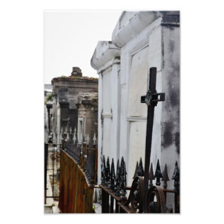 Celebrate Life Foto Afdruk