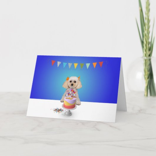 Celebratie-Wenskaart - Blank in 5x7 Kaart (Voorkant)