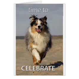 Celebratiekaart met Australian Shepherd