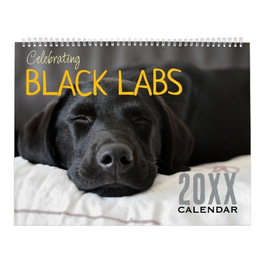 Celebrating Black Labs Labrador Dog Calendar 2026  Kalender (Hoes)