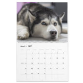 Celebrating Huskies Dog Wall Calendar 2026  Kalender (Mar 2027)