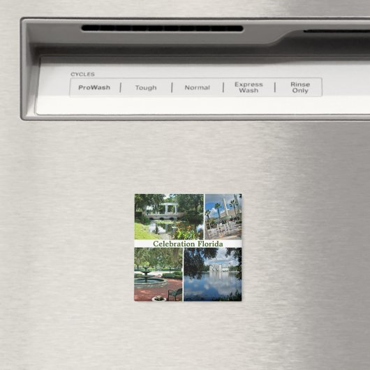 Celebration Florida Square Magnet 4 Afbeeldingen (Insitu (Vaatwasser))