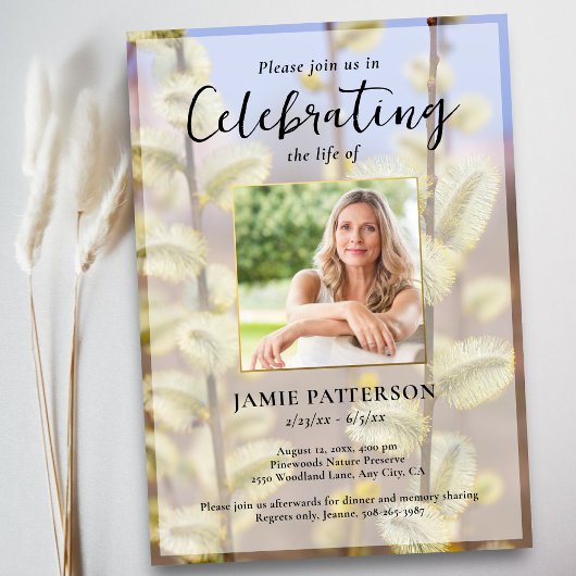 Celebration of Life Photo, Pussy Willows Funeral Kaart