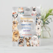 Celebration Paws: Feestelijke Hond Verjaardagsfees Kaart (Staand voorkant)