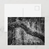 Celebration Wilds Briefkaart (Voorkant / Achterkant)