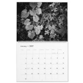 Celebration Wilds Kalender (Jan 2027)